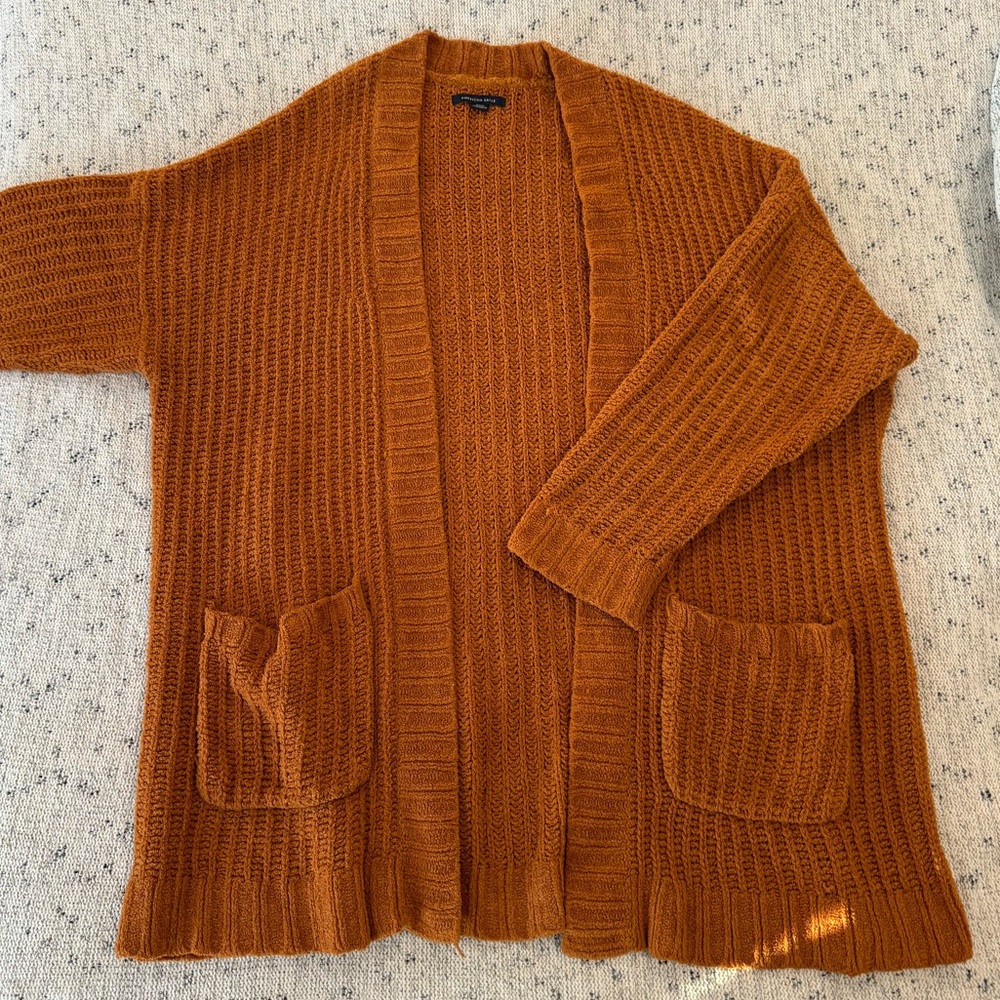 American Eagle Cardigan